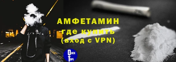 стаф Богданович
