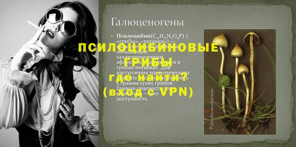 apvp Бронницы