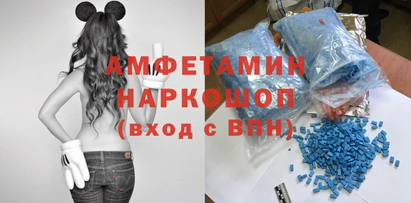 стаф Богданович