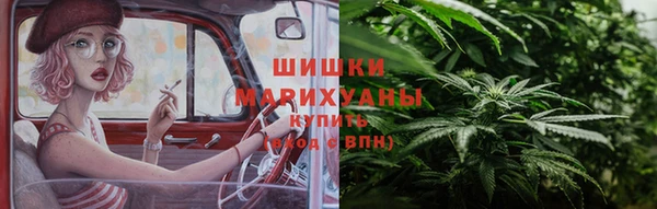 стаф Богданович